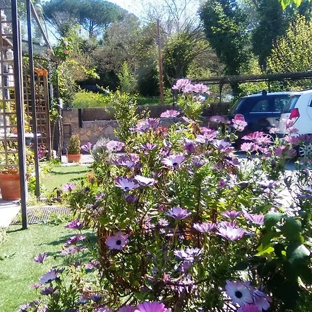 Apartamento Navicgirona Apart *